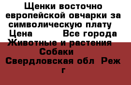 Щенки восточно европейской овчарки за символическую плату › Цена ­ 250 - Все города Животные и растения » Собаки   . Свердловская обл.,Реж г.